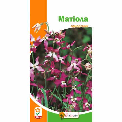 Матiола Яскрава зображення 1 артикул 99792