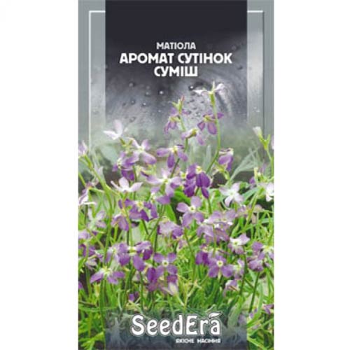Маттиола Ночная фиалка Seedera рисунок 1 артикул 77052