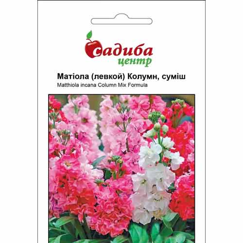 Маттіола махрова Маттіола Колумн, суміш забарвлень Садиба центр зображення 1 артикул 87636