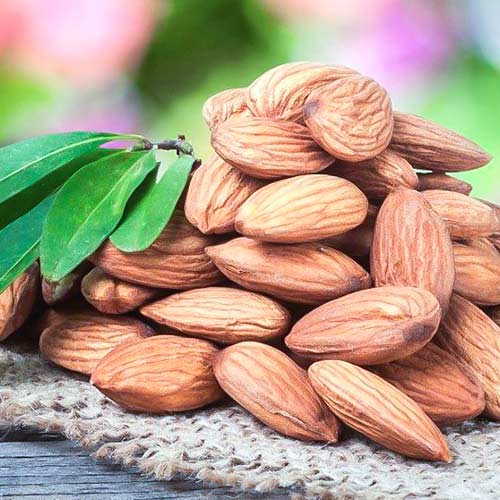 Миндаль Монтерей рисунок 1 артикул 4204