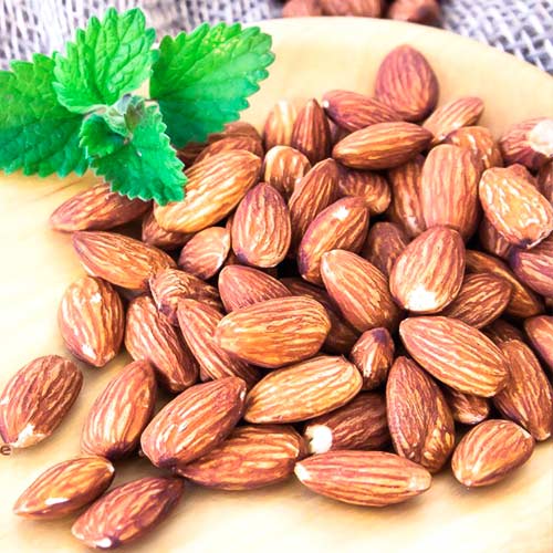 Миндаль Приморский рисунок 1 артикул 4206