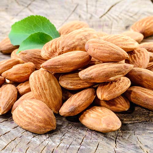 Миндаль Пряный рисунок 1 артикул 4207