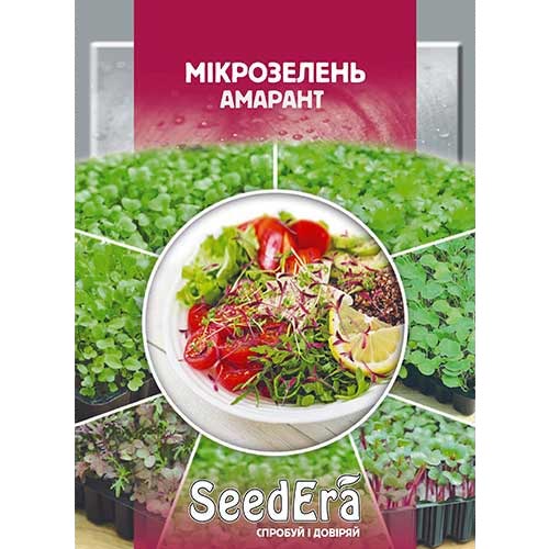 Микрозелень Базилик фиолетовый Seedera рисунок 1 артикул 90015