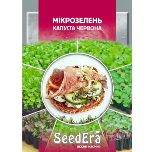 Микрозелень Капуста красная Seedera рисунок 1 артикул 90021