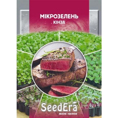 Микрозелень Кинза Seedera рисунок 1 артикул 90022
