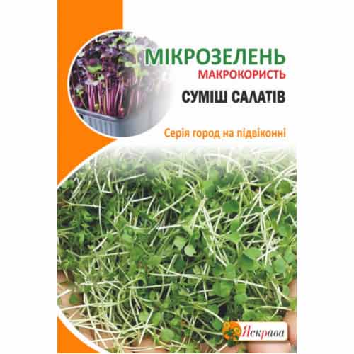 Мікрозелень Салат, суміш сортів Яскрава зображення 1 артикул 72917