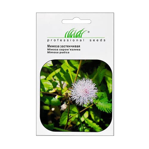 Мимоза застенчивая Профессиональные семена артикул фото 1 Мимоза застенчивая Профессиональные семена рисунок 1 артикул 87566