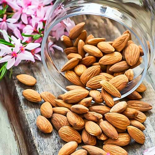 Миндаль Карамель артикул фото 1 Миндаль Карамель рисунок 1 артикул 7011