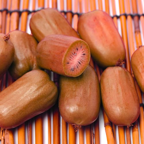 Мини-киви (актинидия) Кенс Ред рисунок 1 артикул 9240