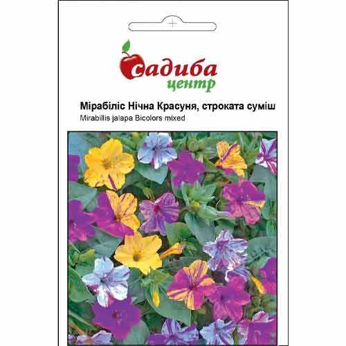 Мірабіліс Нічна красуня, суміш забарвлень Садиба центр зображення 1 артикул 89409