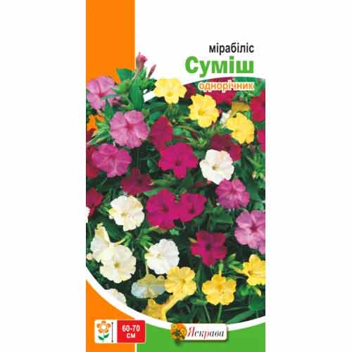 Мiрабiлiс, суміш забарвлень Яскрава зображення 1 артикул 72353