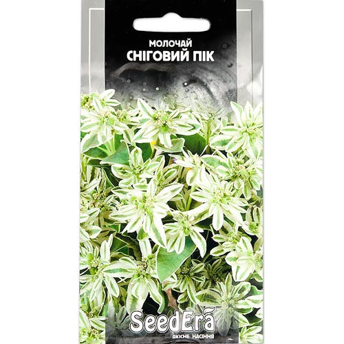 Молочай Снежный пик Seedera рисунок 1 артикул 77053