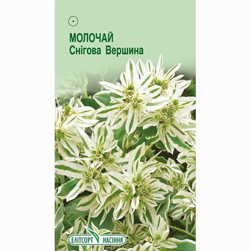 Молочай Снежная вершина Элитсорт рисунок 1 артикул 95117