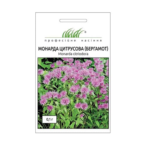 Монарда (бергамот) Професійне насіння артикул фото 1 Монарда (бергамот) Професійне насіння зображення 1 артикул 87597
