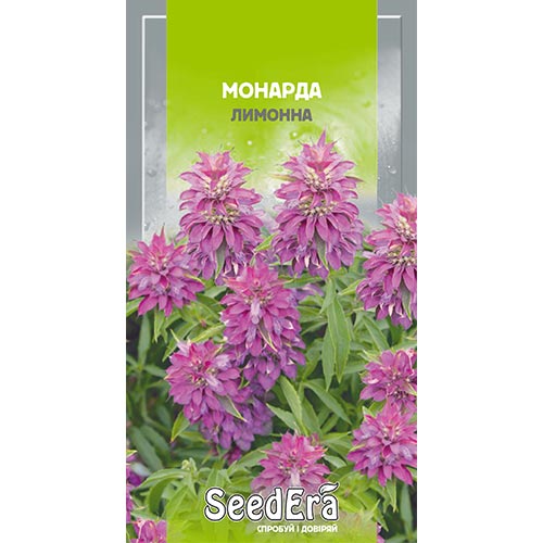 Монарда лимонная Seedera рисунок 1 артикул 95016
