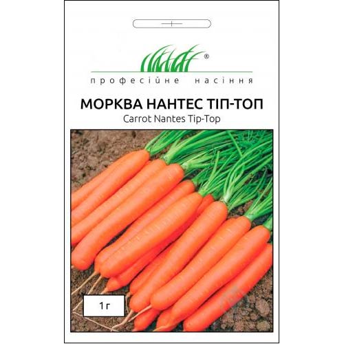 Морква Нантес Тіп-Топ артикул фото 1 Морква Нантес Тіп-Топ зображення 1 артикул 65462
