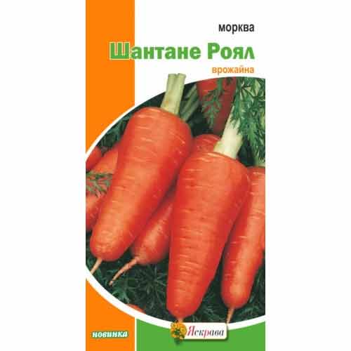 Морковь Шантане Роял Яскрава рисунок 1 артикул 72352