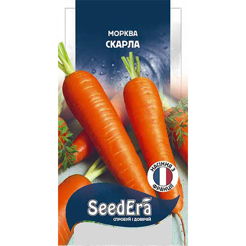 Морковь Скарла Seedera рисунок 1 артикул 89885