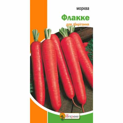 Морковь Флакке Яскрава артикул фото 1 Морковь Флакке Яскрава рисунок 1 артикул 65568