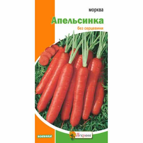 Морковь Апельсинка Яскрава артикул фото 1 Морковь Апельсинка Яскрава рисунок 1 артикул 99922