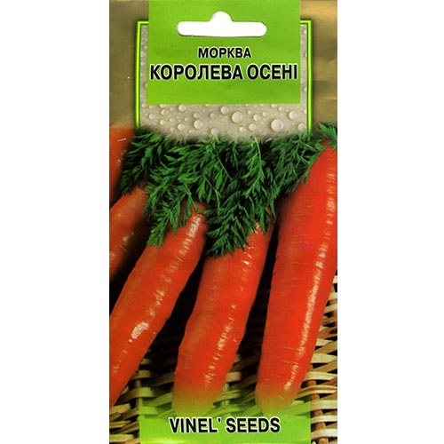 Морковь Королева осени Vinel seeds рисунок 1 артикул 95613