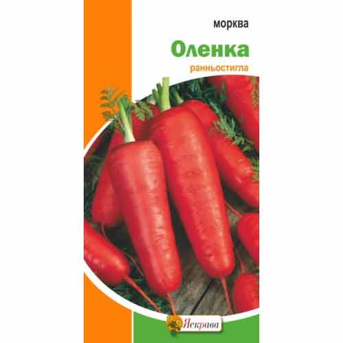 Морковь Аленушка Яскрава рисунок 1 артикул 99930