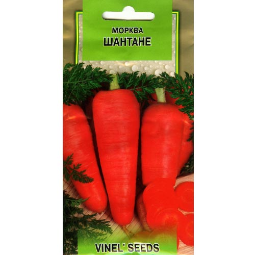 Морковь Шантанэ Vinel seeds рисунок 1 артикул 95619