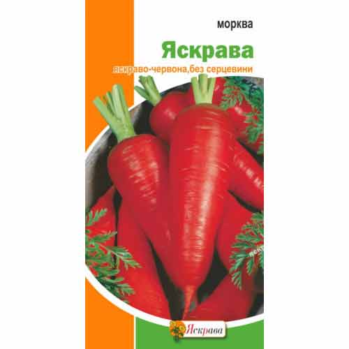 Морковь Яркая Яскрава рисунок 1 артикул 99934