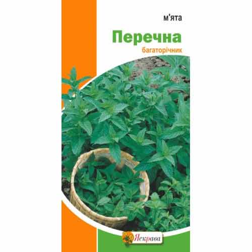 М'ята Перцева Яскрава зображення 1 артикул 99916