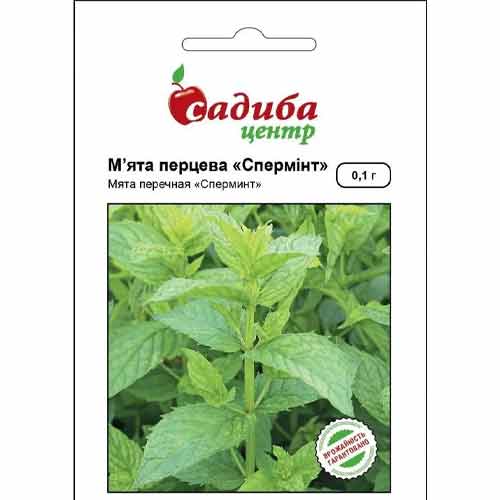 М'ята Спермінт Садиба центр зображення 1 артикул 89399
