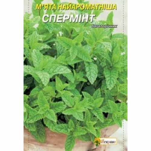 Мята Сперминт Яскрава рисунок 1 артикул 72309