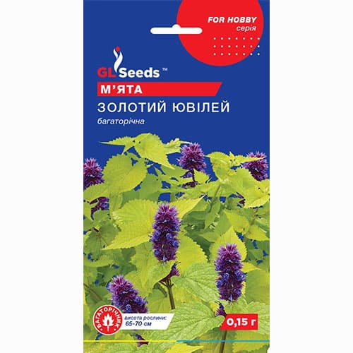 М'ята Золотий Ювілей GL Seeds зображення 1 артикул 99637