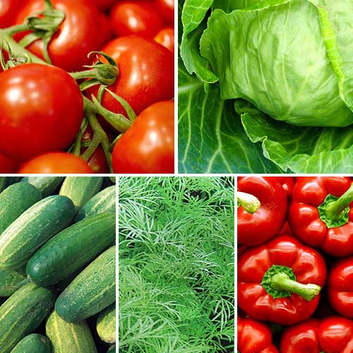 Набір насіння Бочкові соління з 5 упаковок, суміш сортів Seedera зображення 1 артикул 72912