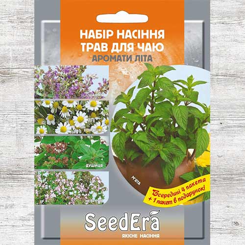 Набір насіння Трави для чаю Аромати літа з 5 упаковок зображення 1 артикул 89913