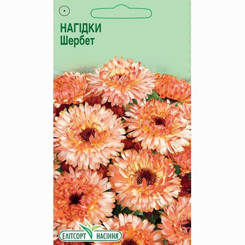Нагідки (календула) Щербет Елітсорт зображення 1 артикул 96176