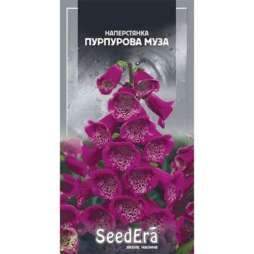 Наперстянка Пурпурная Муза Seedera рисунок 1 артикул 89954