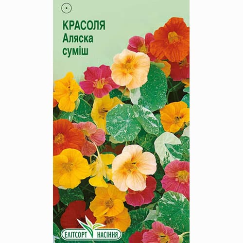 Настурция Аляска, смесь окрасок Элитсорт артикул фото 1 Настурция Аляска, смесь окрасок Элитсорт рисунок 1 артикул 95115