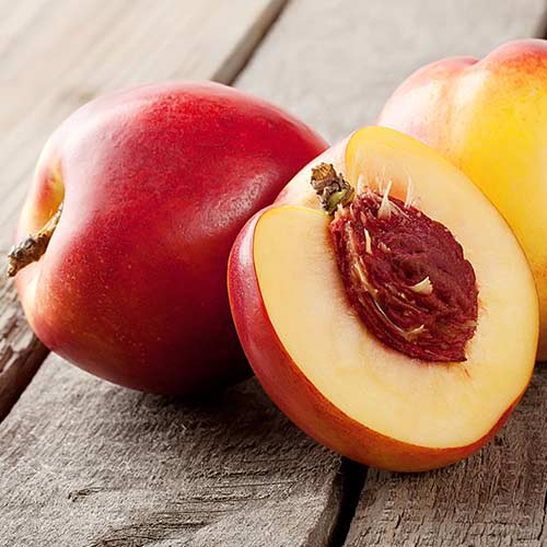 Нектарин Світ Леді зображення 1 артикул 4212