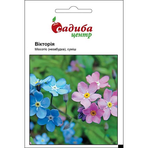 Незабудка Виктория, смесь окрасок Садыба центр рисунок 1 артикул 95208