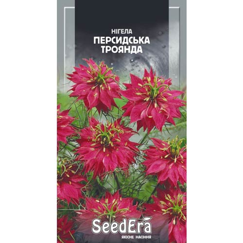 Нігела Персидська троянда Seedera зображення 1 артикул 77065