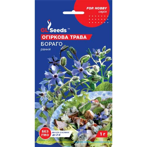Огуречная трава Бораго GL Seeds артикул фото 1 Огуречная трава Бораго GL Seeds рисунок 1 артикул 85720