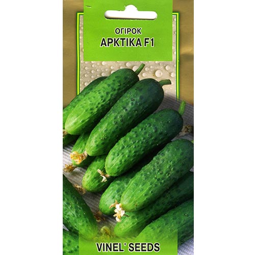 Огірок Арктіка F1 Vinel seeds зображення 1 артикул 95622