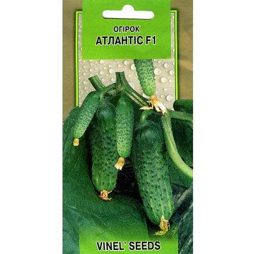 Огірок Атлантіс F1 Vinel seeds зображення 1 артикул 95623