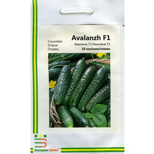 Огірок Аваланж F1 Імперія насіння зображення 1 артикул 95378