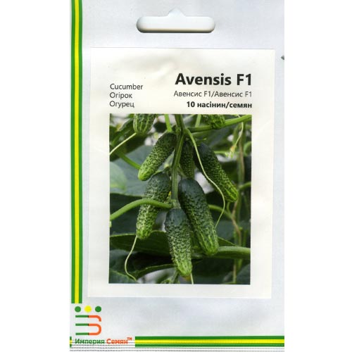 Огірок Авенсіс F1 Імперія насіння зображення 1 артикул 95379