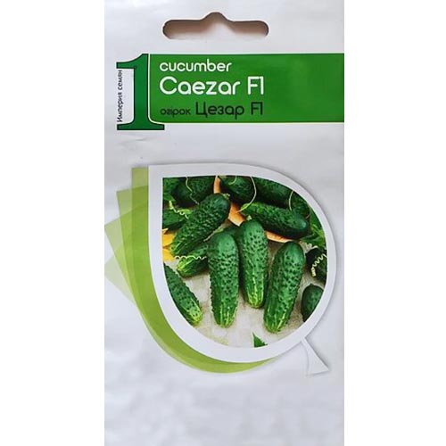 Огірок Цезар F1 Vinel seeds зображення 1 артикул 95707