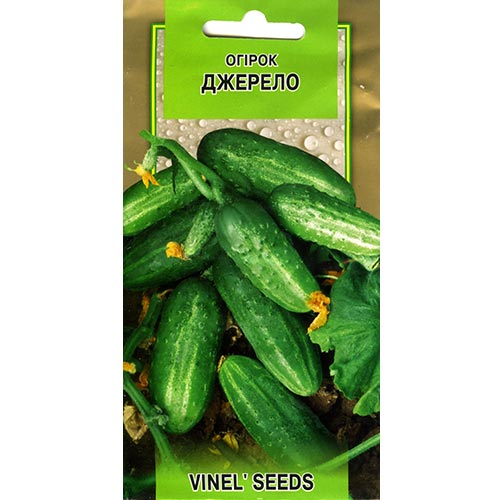 Огурец Джерело Vinel seeds рисунок 1 артикул 95639