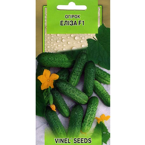 Огірок Еліза F1 Vinel seeds зображення 1 артикул 95644