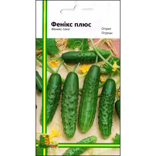 Огірок Фенікс-плюс Імперія насіння зображення 1 артикул 95277
