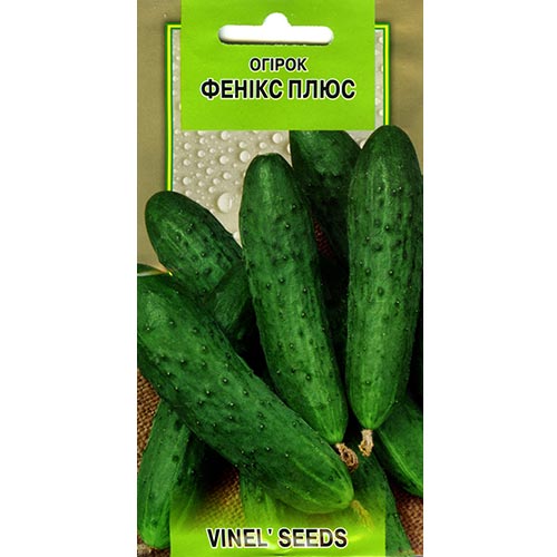 Огурец Феникс плюс Vinel seeds рисунок 1 артикул 95702